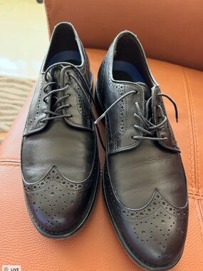 Mens Allen Edmond Oxfords